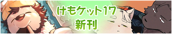 �����P�b�g17�V��